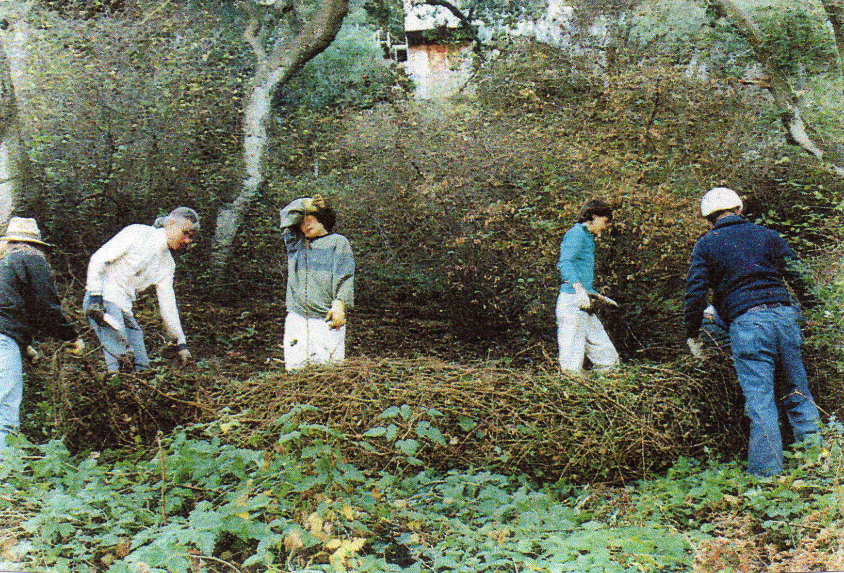 FoAH-ForestGrantGroup