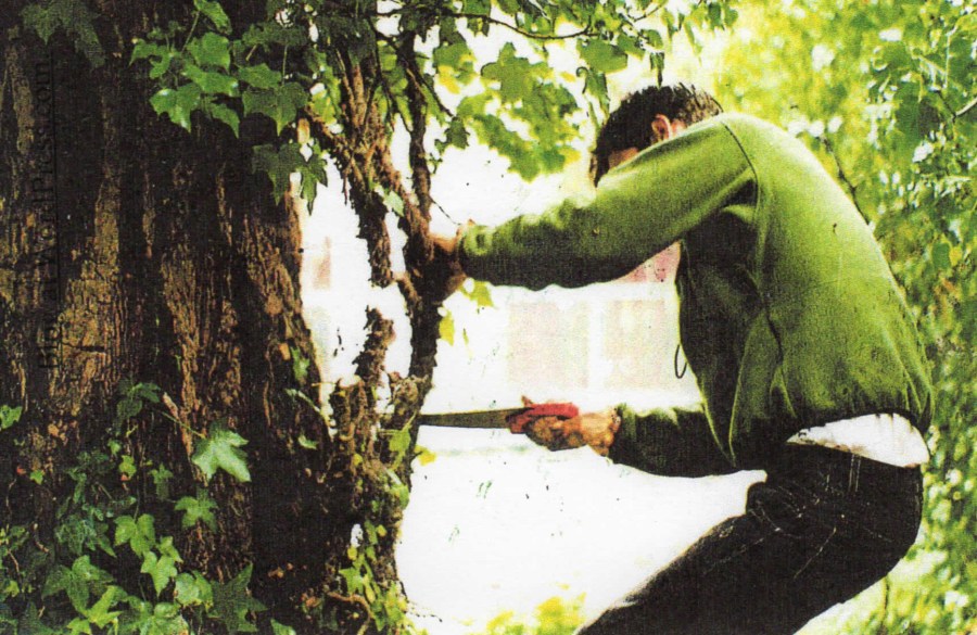 Preston-On-Albany-Hill